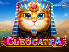 Cool cat casino84